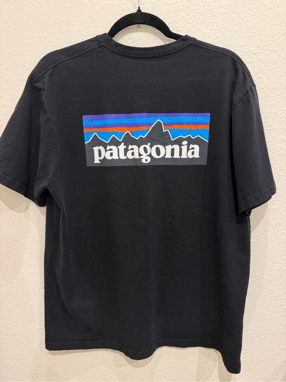 Patagonia Black Tee with Multicolor Mountain Logo